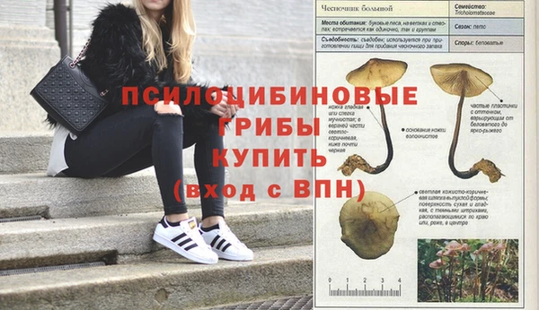 соль курить ск Балахна