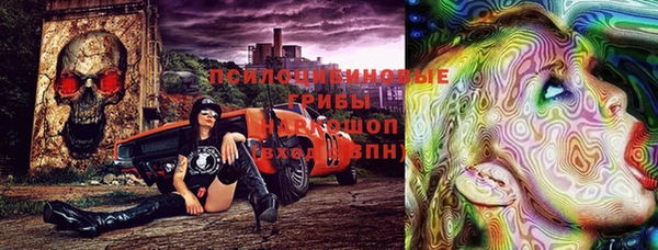 дмт Баксан